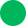 green-large-circle-icon
